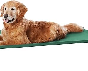 Amazon Basics Cooling Elevated Dog Bed with Metal Frame, Large, 130 x 80 x 19 cm (L x W x H), Green